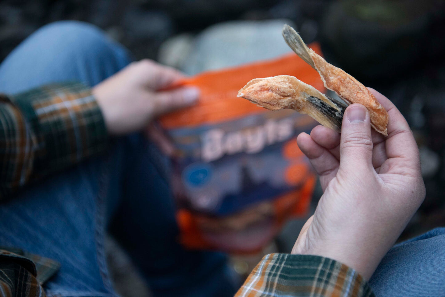 Bayts Snack Liofilizado Aletitas de Salmón