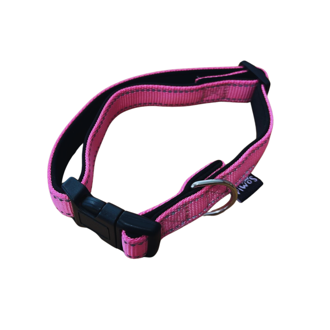 Los Piwos Collar para Perros Reflectante