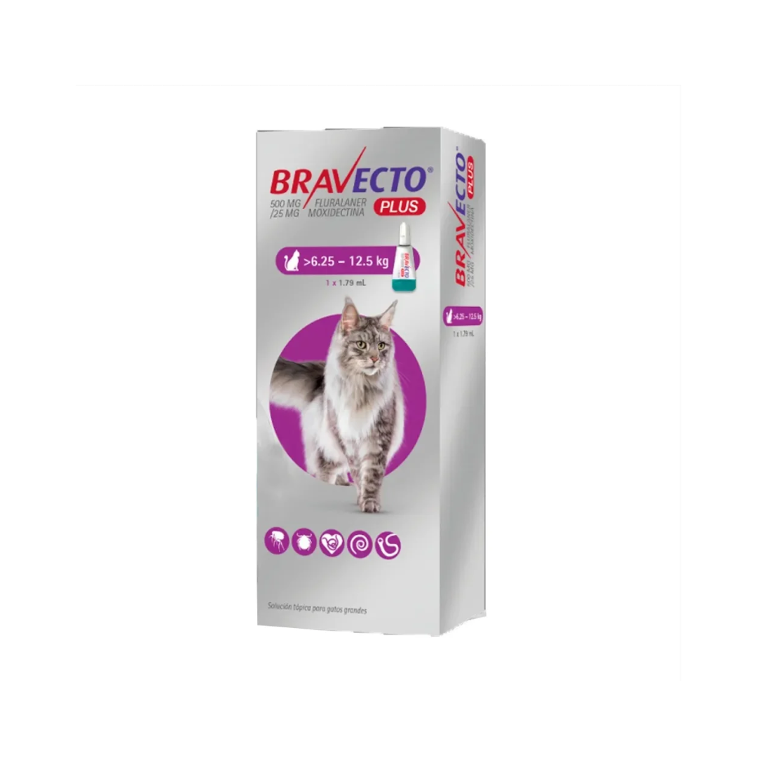 Bravecto Gato Plus 6,25 - 12.5 kg