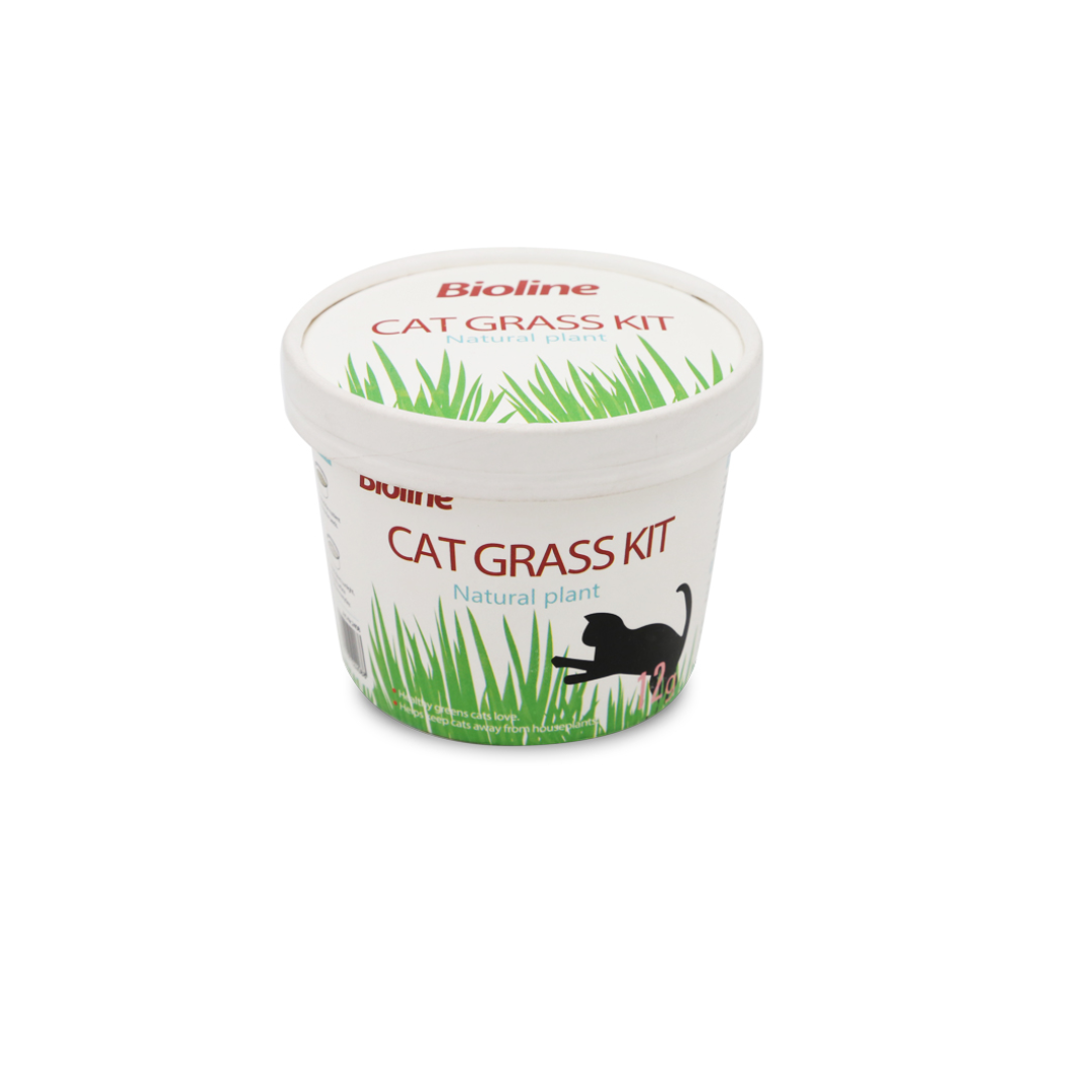 Bioline Cat Grass Kit, Kit de Pasto Gatero