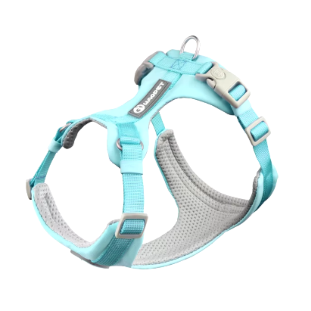Waopet Arnés Light Celeste