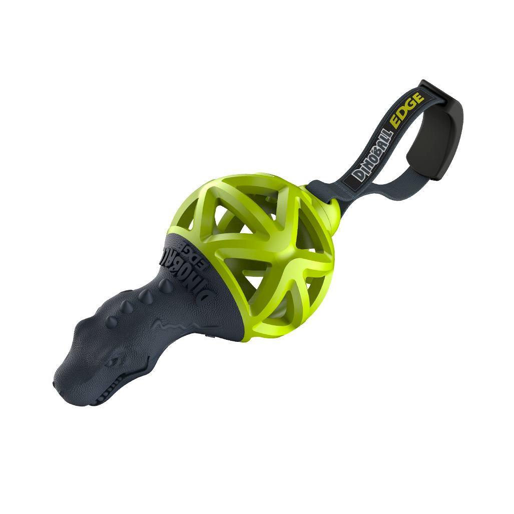 Gigwi Dinoball Edge Verde M