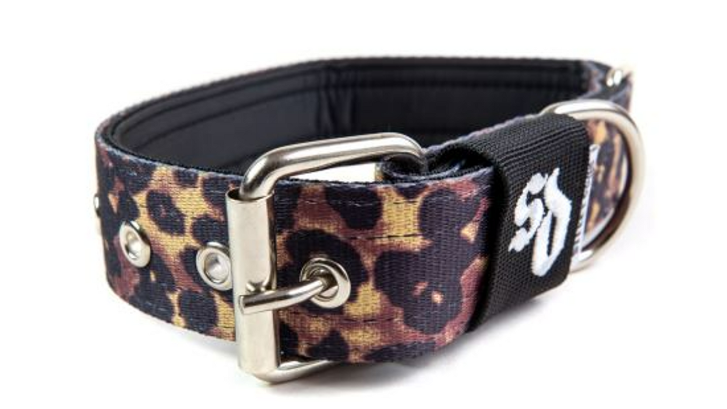 Street Dogs Collar Animal Print Nylon