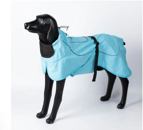 Sheep Dogz Chaqueta Windhook Celeste