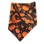 Bandanas para Perros Diseño Halloween