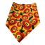 Bandanas para Perros Diseño Halloween