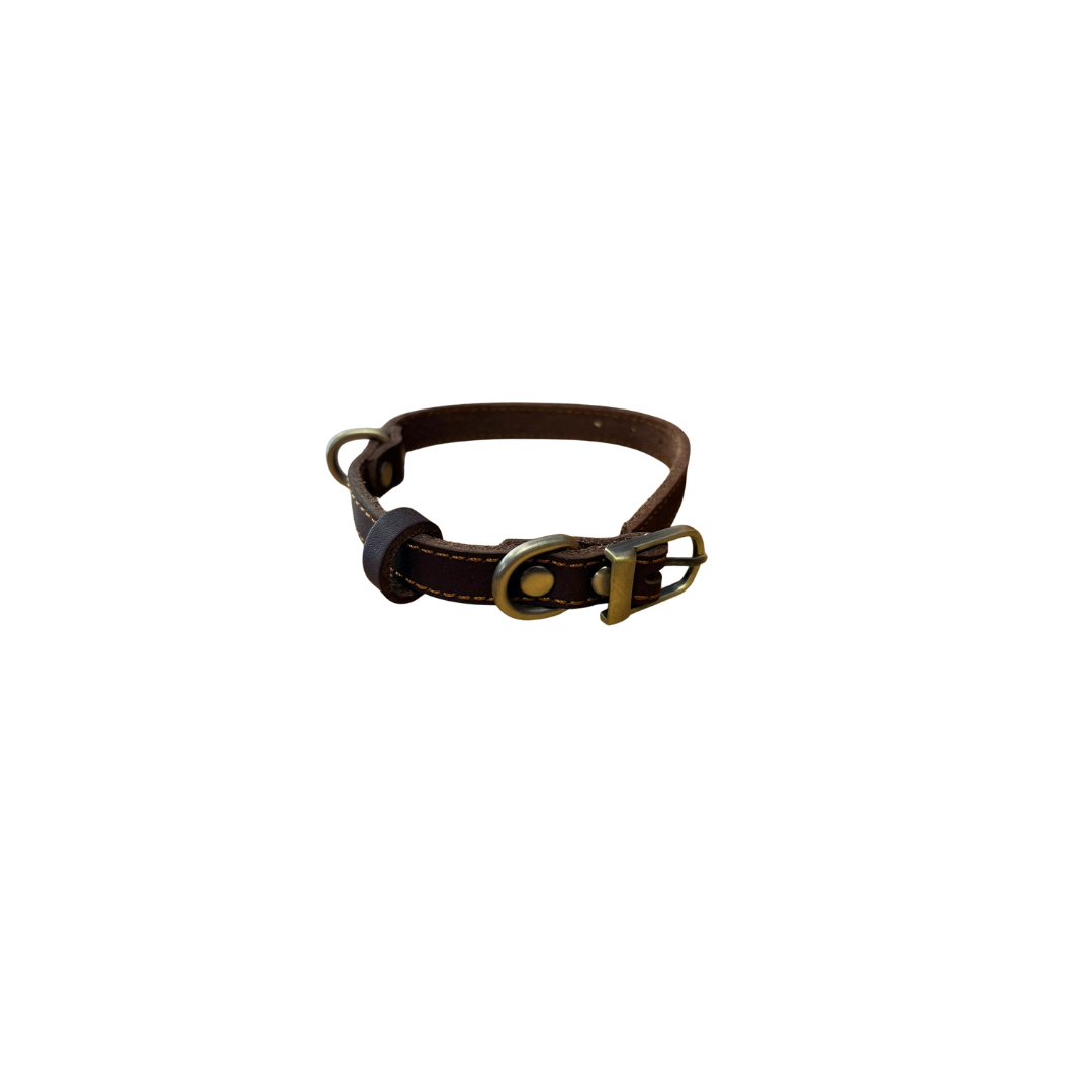 Collar Cuero Classic Café