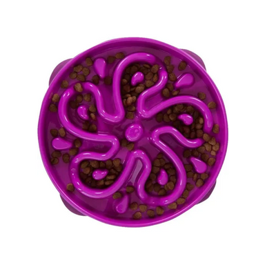 Pet´s Secret Plato Anti-Ahogo 30 cms