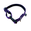 Los Piwos Collar para Perros Reflectante