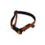 Los Piwos Collar para Perros Reflectante